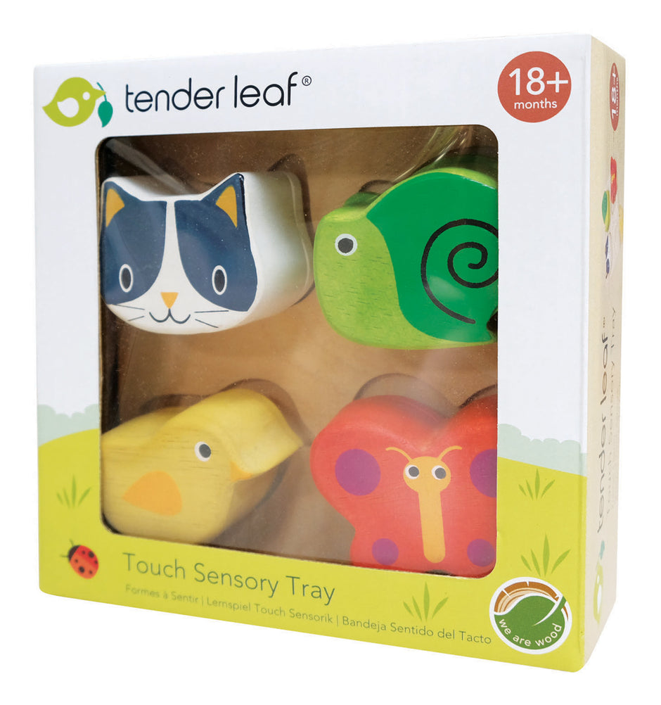 Tender Leaf Preschool – Vormen & Voelen