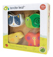 Tender Leaf Preschool – Vormen & Voelen