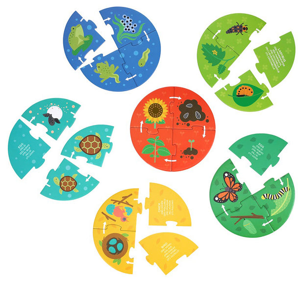 Petit Collage – Ontdekpuzzel Levenscyclus