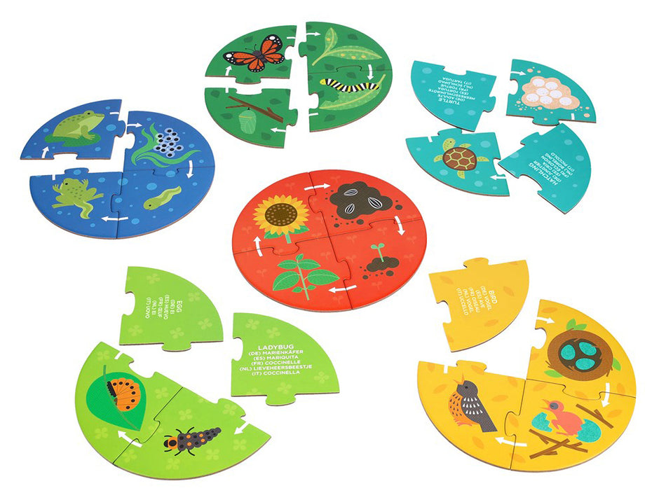 Petit Collage – Ontdekpuzzel Levenscyclus