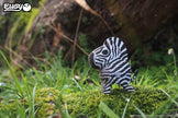 EUGY 3D Puzzel – Zebra