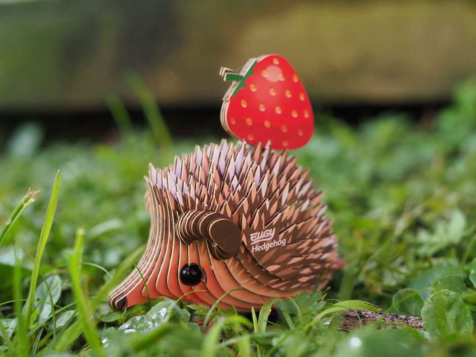 EUGY 3D Puzzel – Egel