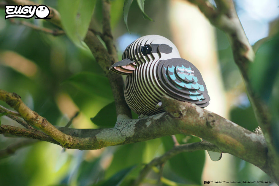 EUGY 3D Model – Vogel: kookaburra