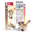 EUGY 3D Puzzel – Raptor