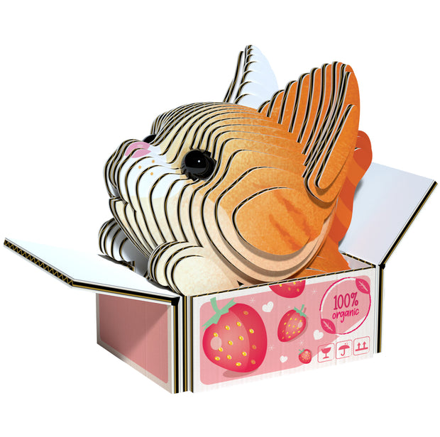 EUGY 3D Model – Katten: Pumpkin
