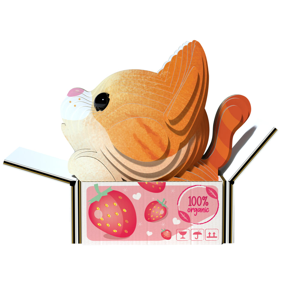 EUGY 3D Model – Katten: Pumpkin