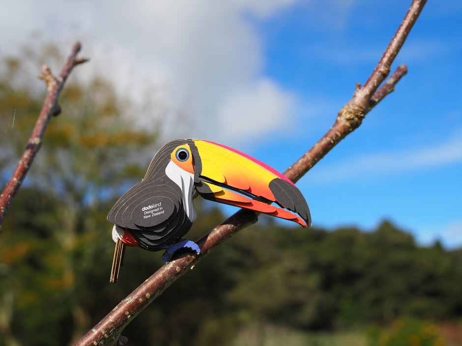 EUGY 3D Model – Vogel: toekan