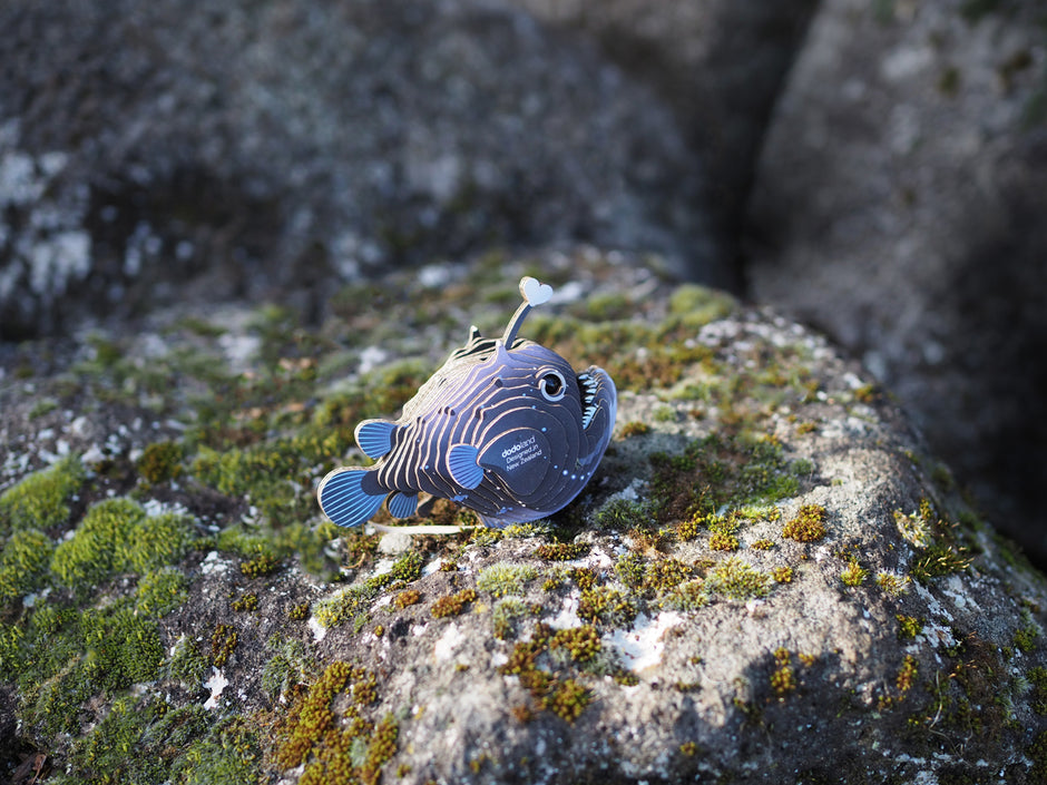 EUGY 3D Model – Zeedier: zeeduivel