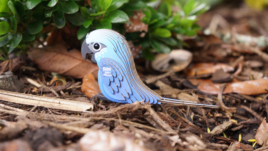 EUGY 3D Model – Vogel: Spix’ ara