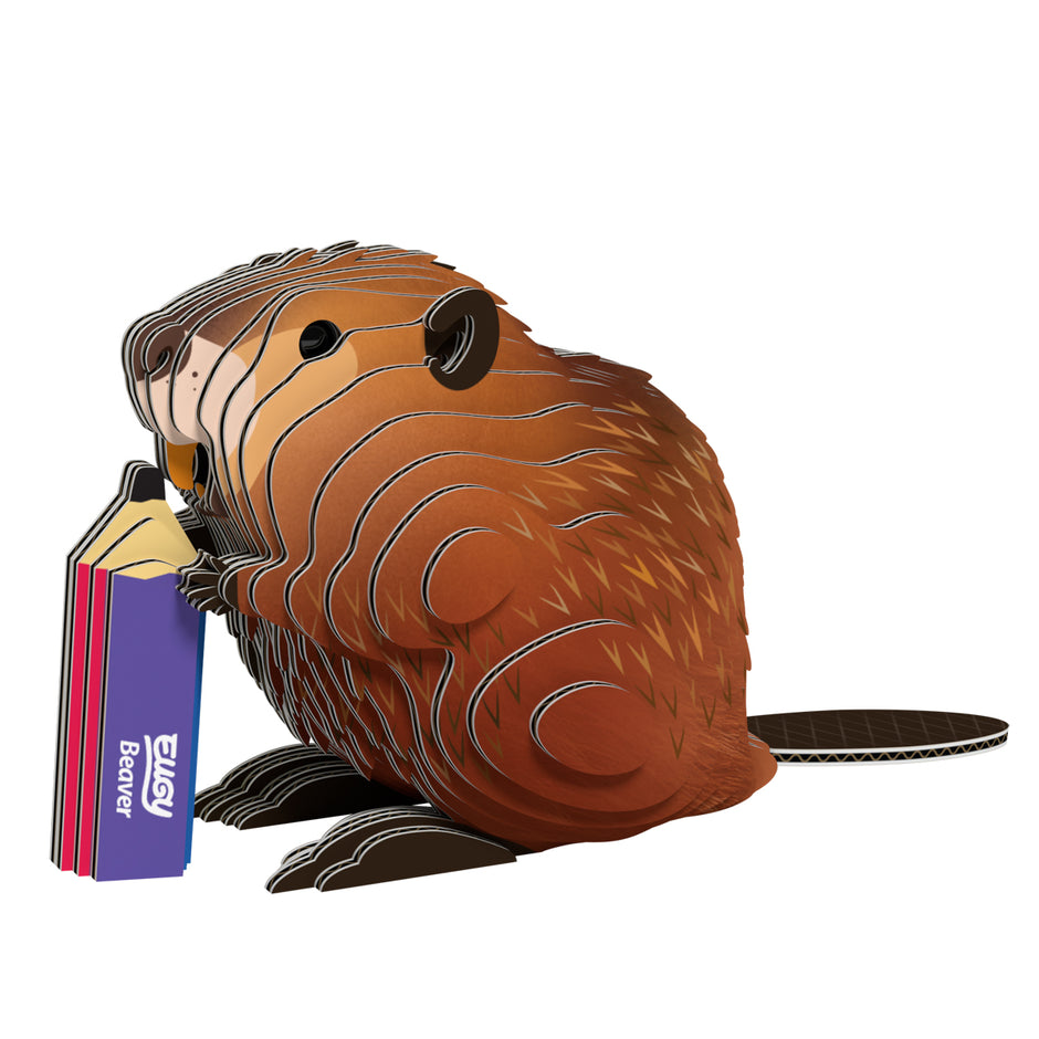 EUGY 3D Model – Wild dier: bever