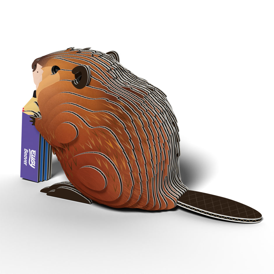 EUGY 3D Model – Wild dier: bever