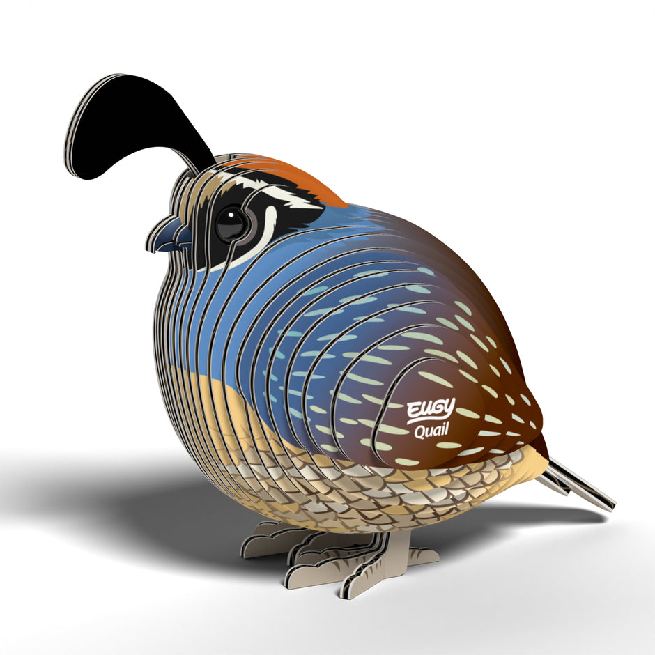 EUGY 3D Model – Vogel: kwartel