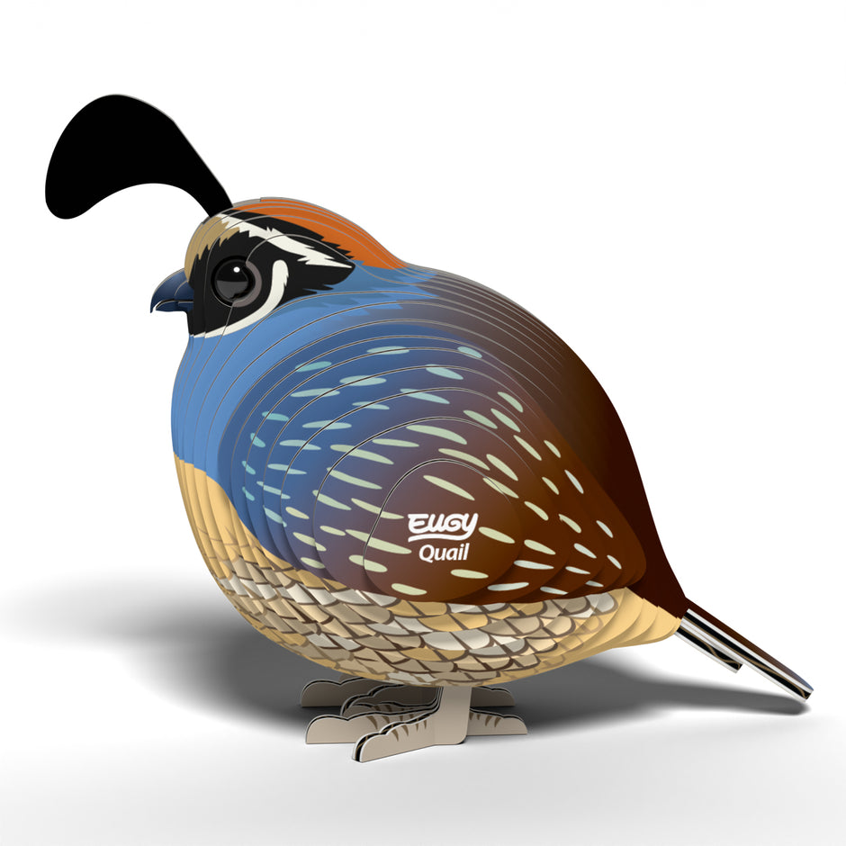 EUGY 3D Model – Vogel: kwartel
