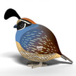EUGY 3D Model – Vogel: kwartel