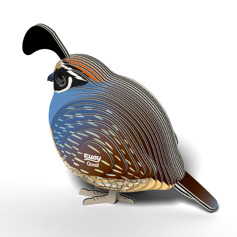 EUGY 3D Model – Vogel: kwartel